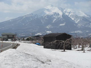 五所川原からみる岩木山-３月の風景-